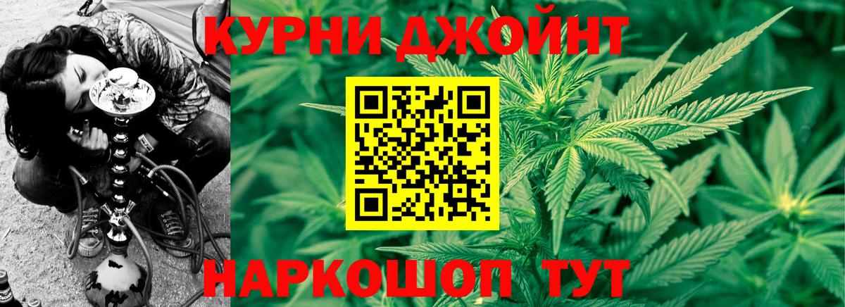 Канабис семена Канаш